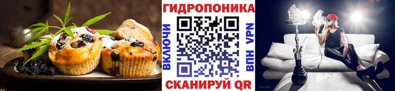 кракен ONION  Суровикино  Canna-Cookies марихуана  купить закладку 