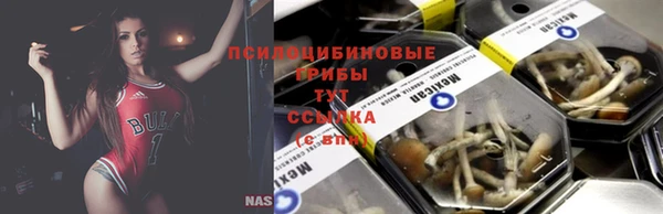 метамфетамин Алексеевка