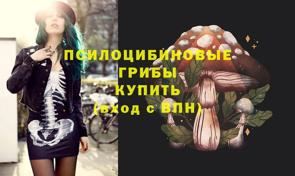 кокс Алзамай