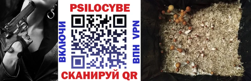 Псилоцибиновые грибы Psilocybine cubensis  blacksprut как зайти  Суровикино 