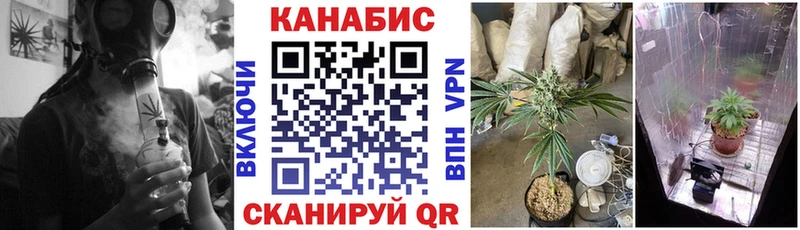 закладки Суровикино Бошки Шишки MAZAR